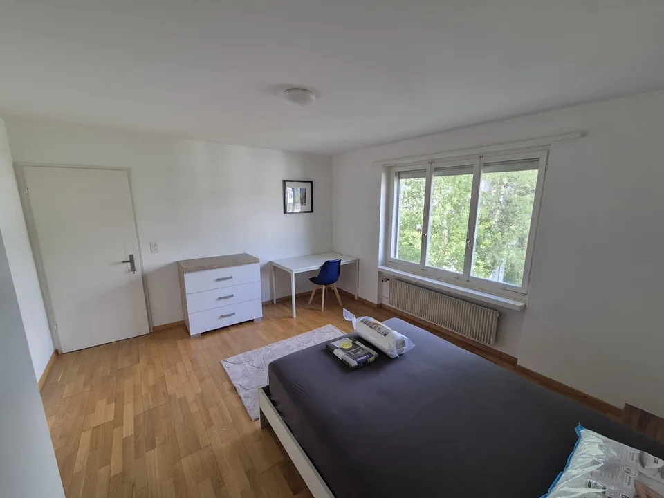 WG Zimmer in Uster mieten