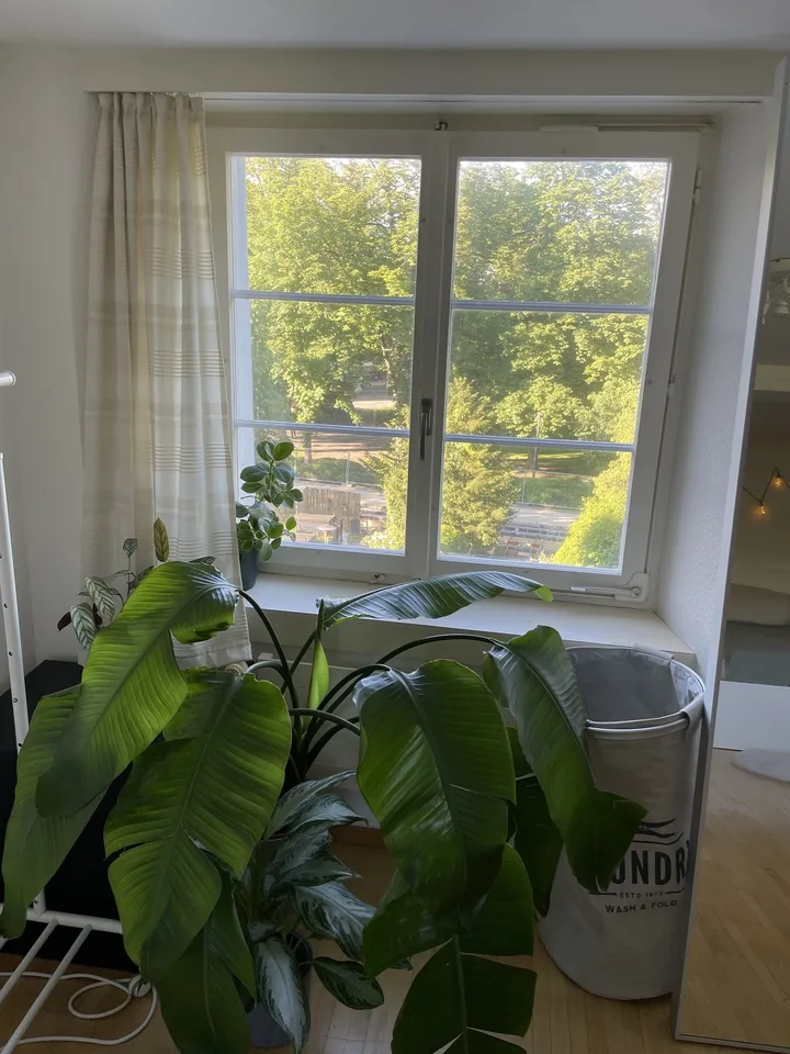 Studenten-Wohnung in TOP LAGE