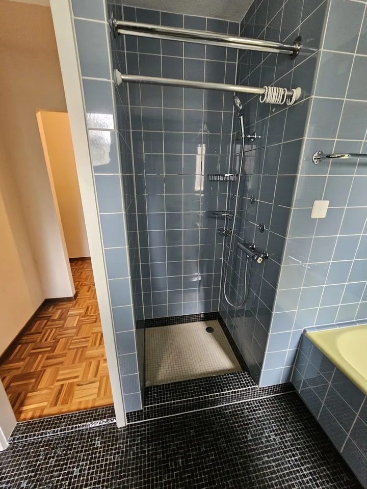 Helles 14m² WG-Zimmer in 4-Zimmerwohnung – Zürich