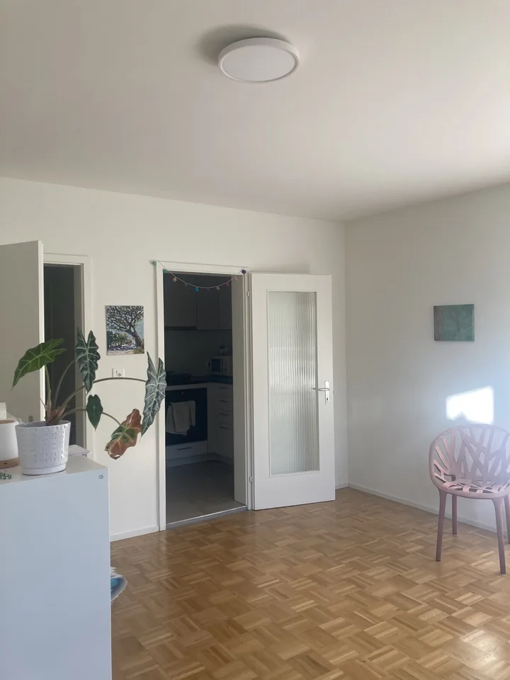 1-Zimmer Wohnung Gundeli