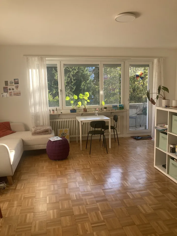 1-Zimmer Wohnung Gundeli