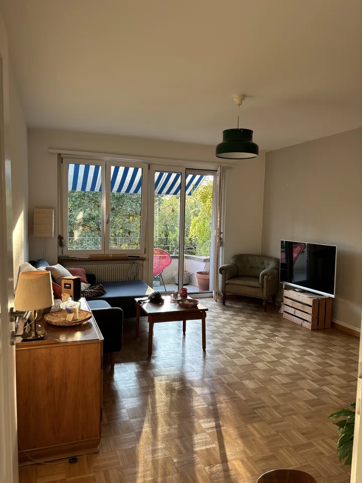 Helle & gemütliche 4-Zi-Altbauwohnung im Breitsch (möbliert)