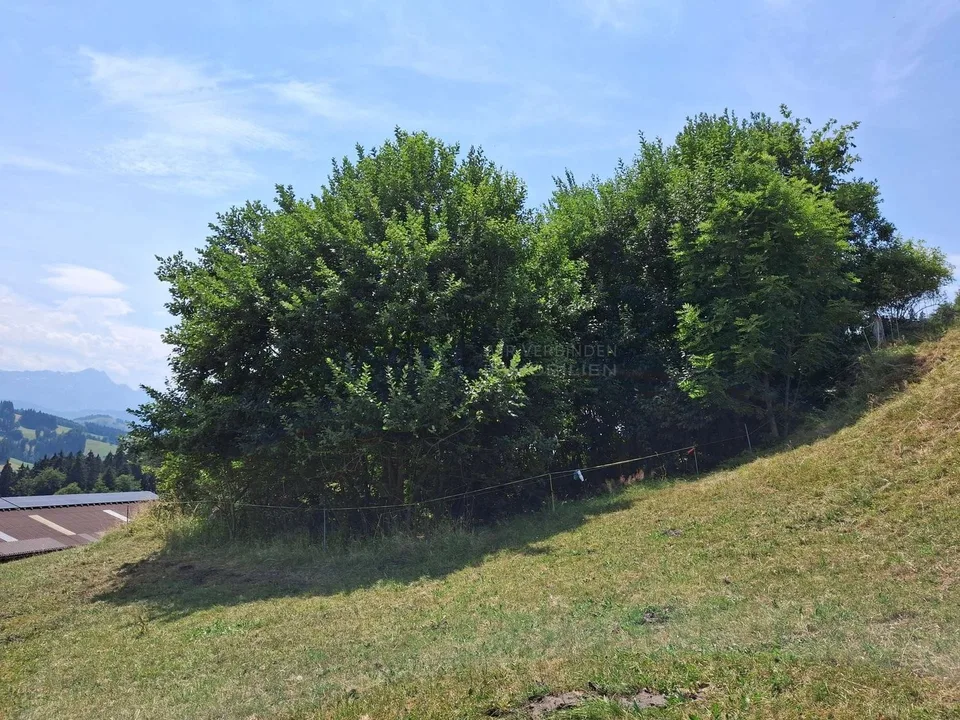 Traumgrundstück in privater Höhenlage