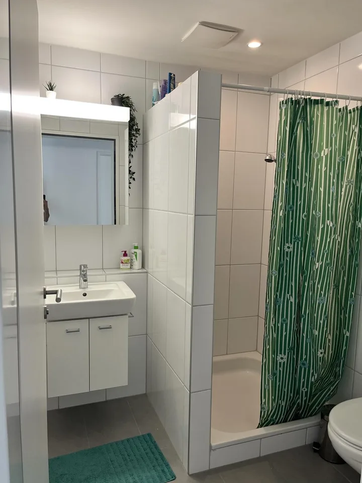 Geräumige 4,5-Zimmer-Wohnung in Dübendorf – verfügbar ab Oktober 2026