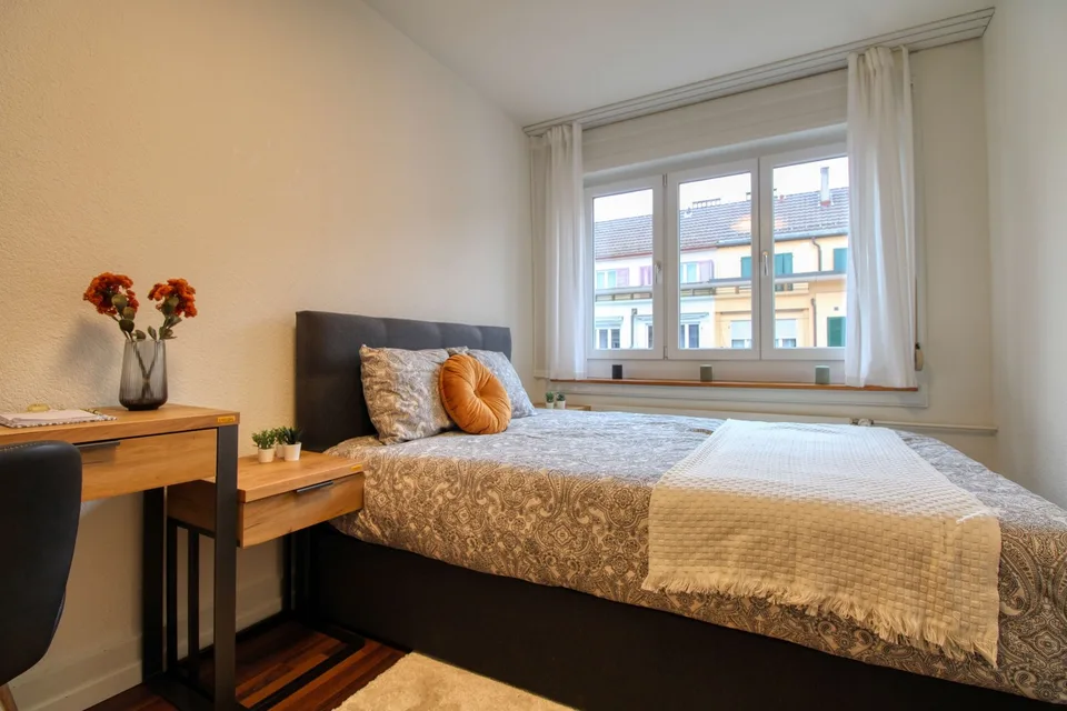 Experience Comfortable Coliving in Zürich's Aussersihl District