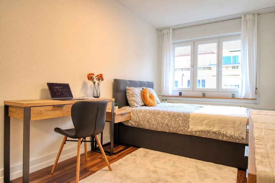 Experience Comfortable Coliving in Zürich's Aussersihl District