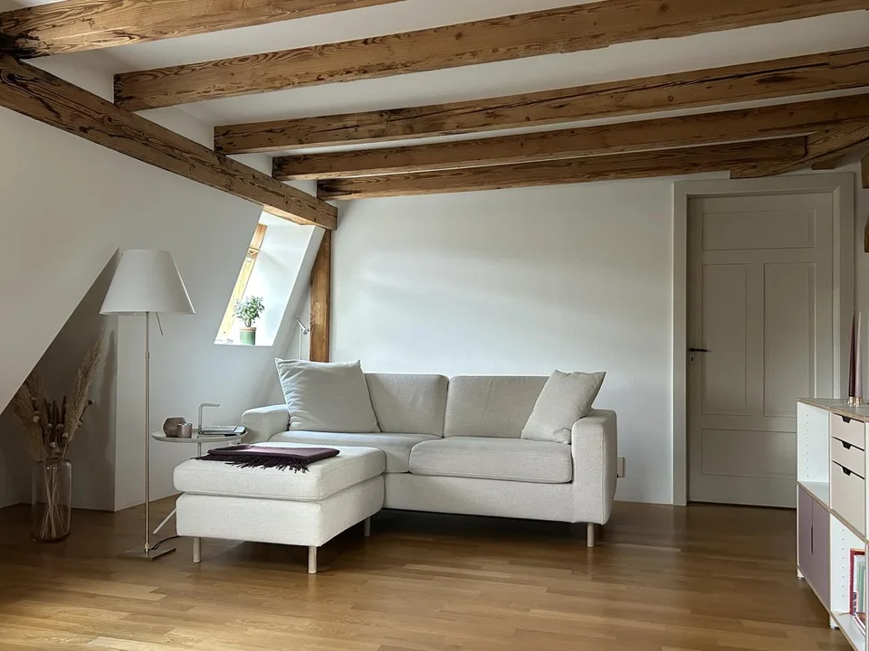 Stilvolle 2,5-Zimmer Dachwohnung mit exklusiver Panorama-Dachterrasse