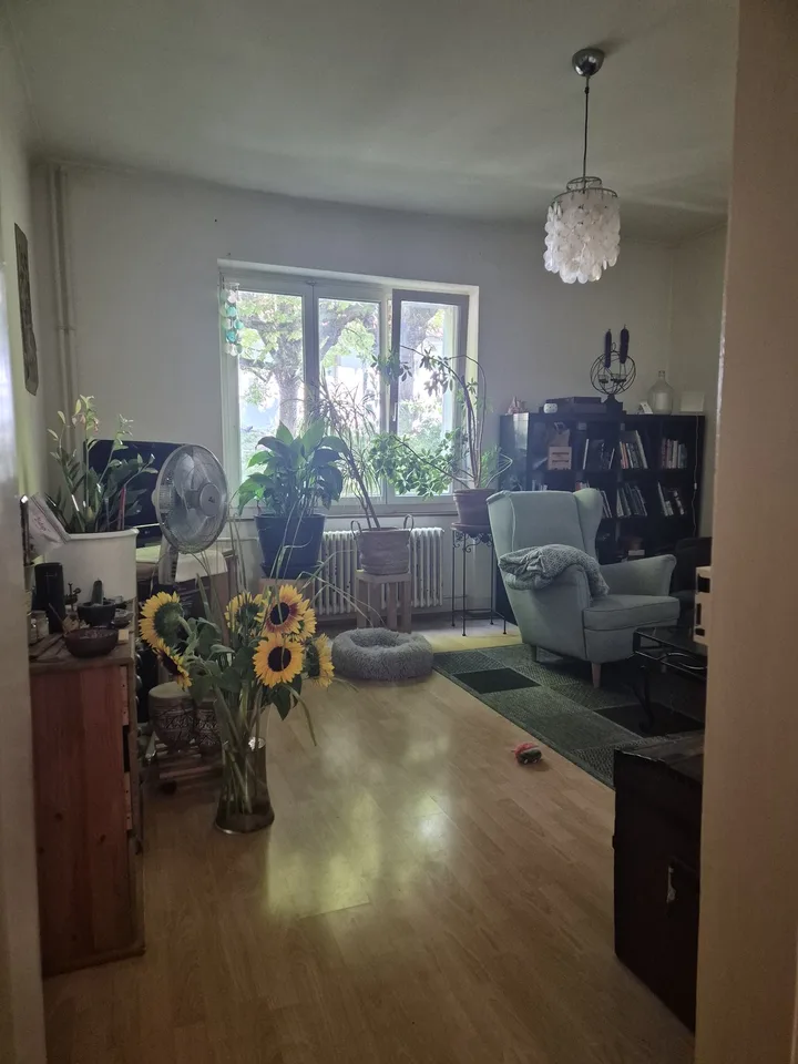 schöne 3-Zimmerwohnung bei den Lange Erlen zu vermieten