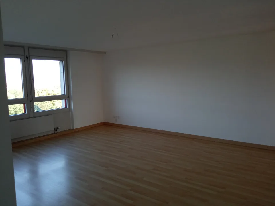 Grosse Wohnung mit toller Aussicht sucht Mitbewohner/in