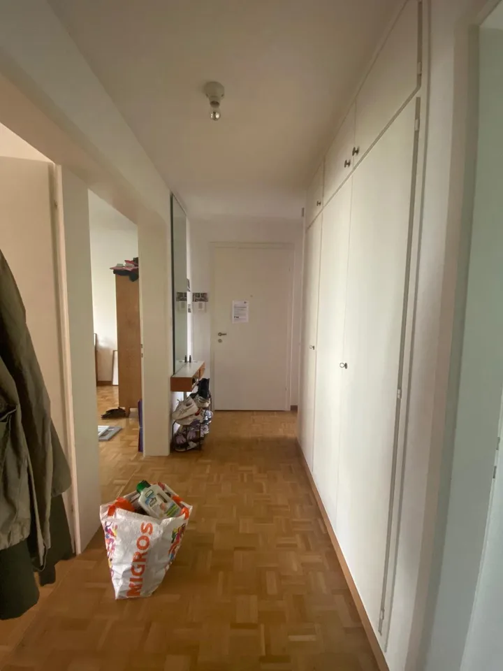 3-Zimmerwohnung mit Balkon in Zürich 1.OG