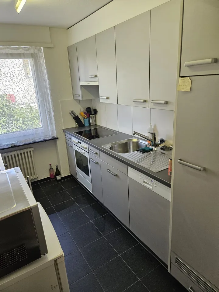 Geräumige 2-Zi Wohnung Winterthur-Wülflingen