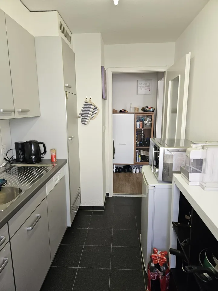 Geräumige 2-Zi Wohnung Winterthur-Wülflingen