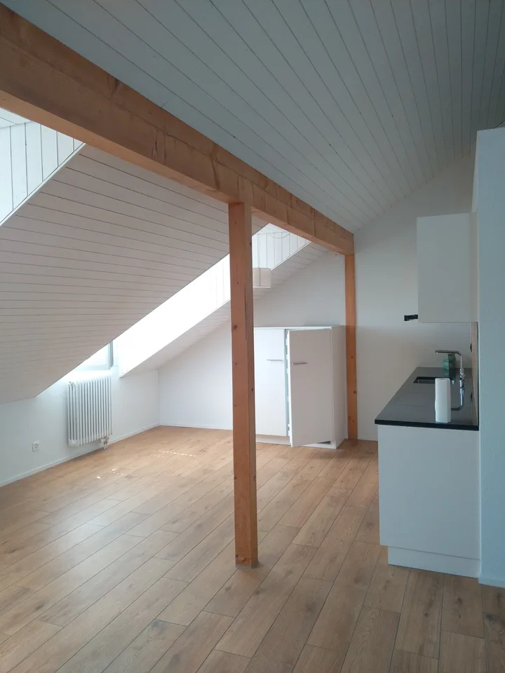 Nachmieter:in für eine Dachwohnung mit Aussicht gesucht