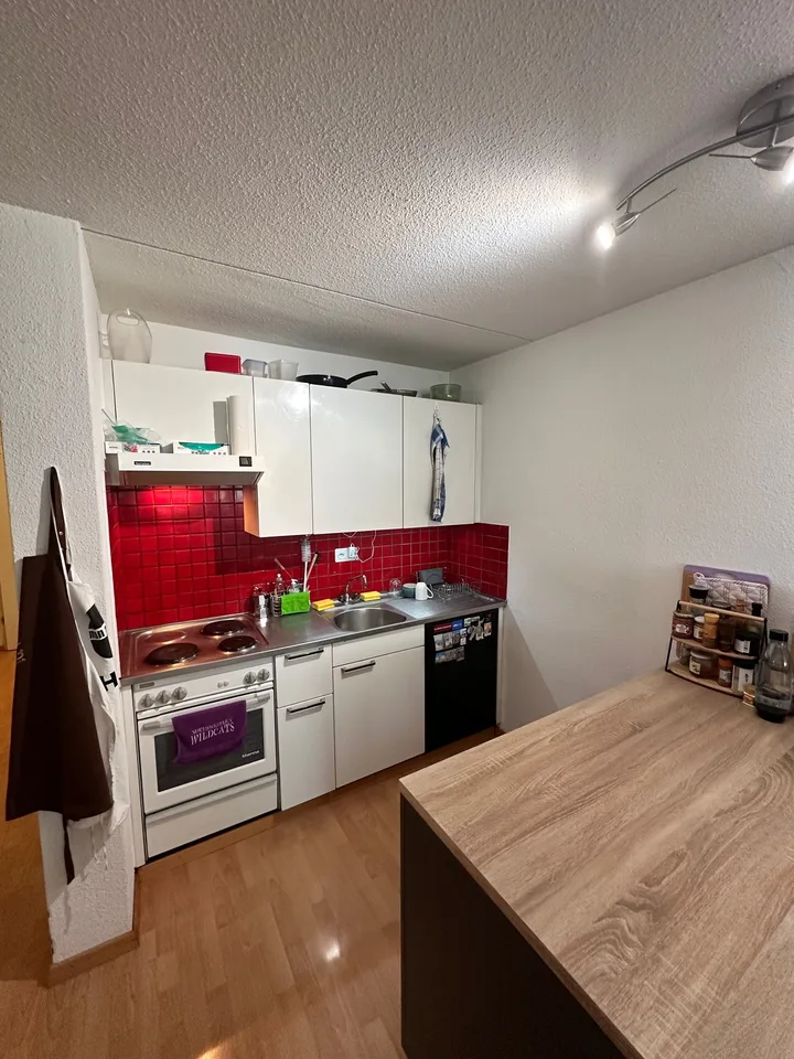 Studiowohnung ideal für Studenten und PhDs an der ETH