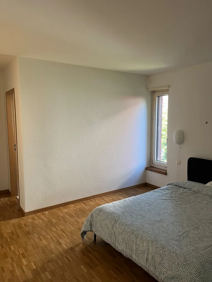Large Room with Private Bathroom & Balcony in Modern Opfikon Apartment