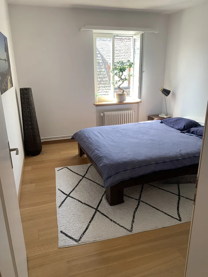 Moderne 2-Zimmer im Herzen von Schaffhausen mit grosser Dachterasse