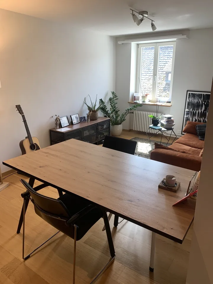 Moderne 2-Zimmer im Herzen von Schaffhausen mit grosser Dachterasse