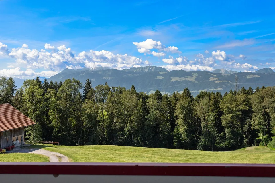 4.5-Zimmer mit TOP Aussicht und seitlicher Seesicht – photo 21 sur 24
