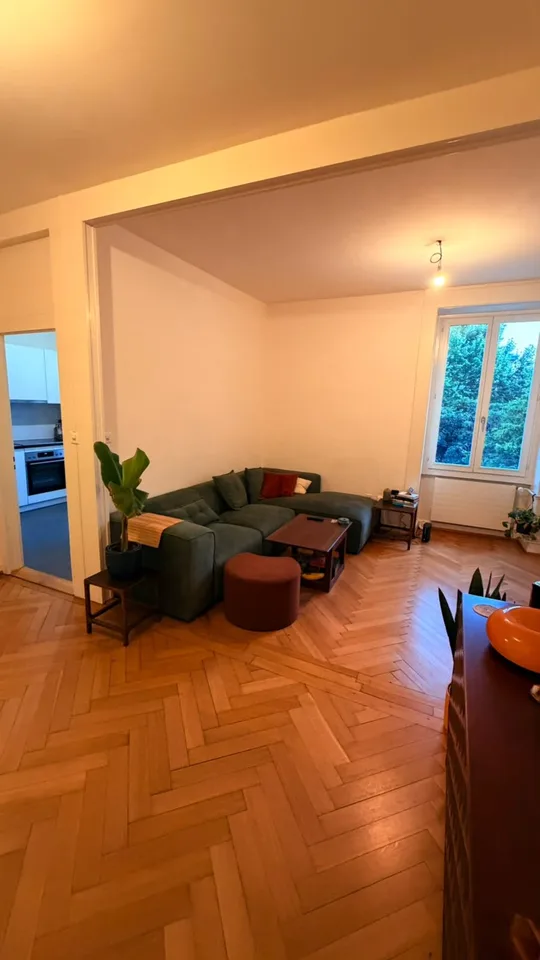 🏠 4-ROOM FLAT, RUE ARGAND, 1201 GENEVA Lease