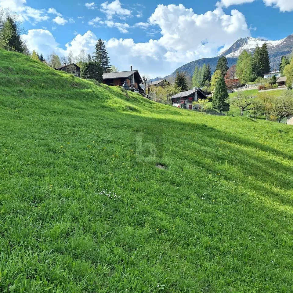 IN POSIZIONE TRANQUILLA E SOLEGGIATA CON VISTA