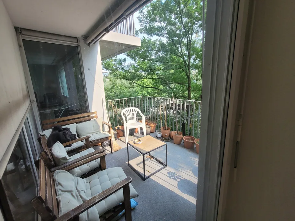 Room in lovely WG (temporary Sep-Oct)