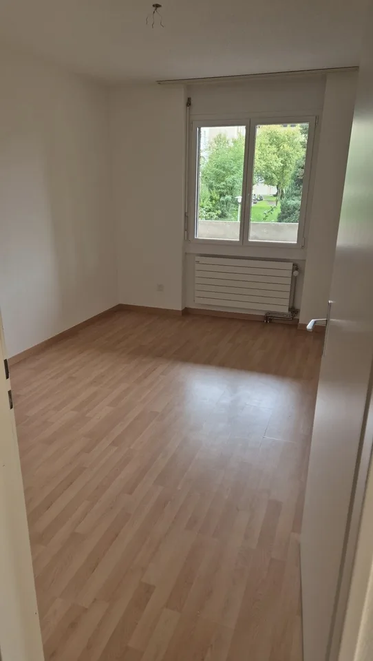 3 Zimmerwohnung in Dübendorf