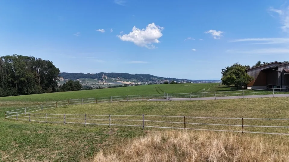 Neubau 5.5-Zi.-Doppeleinfamilienhaus an erhöhter Wohnlage mit Weitsicht in Amlikon-Bissegg (Haus A)