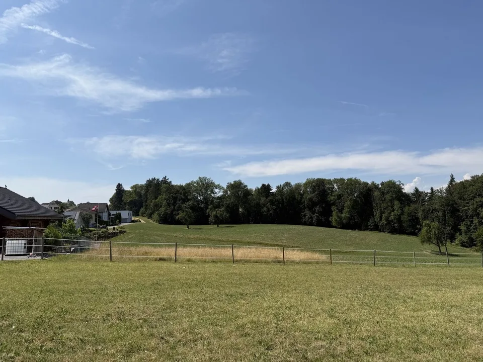 Neubau 5.5-Zi.-Doppeleinfamilienhaus an erhöhter Wohnlage mit Weitsicht in Amlikon-Bissegg (Haus A)