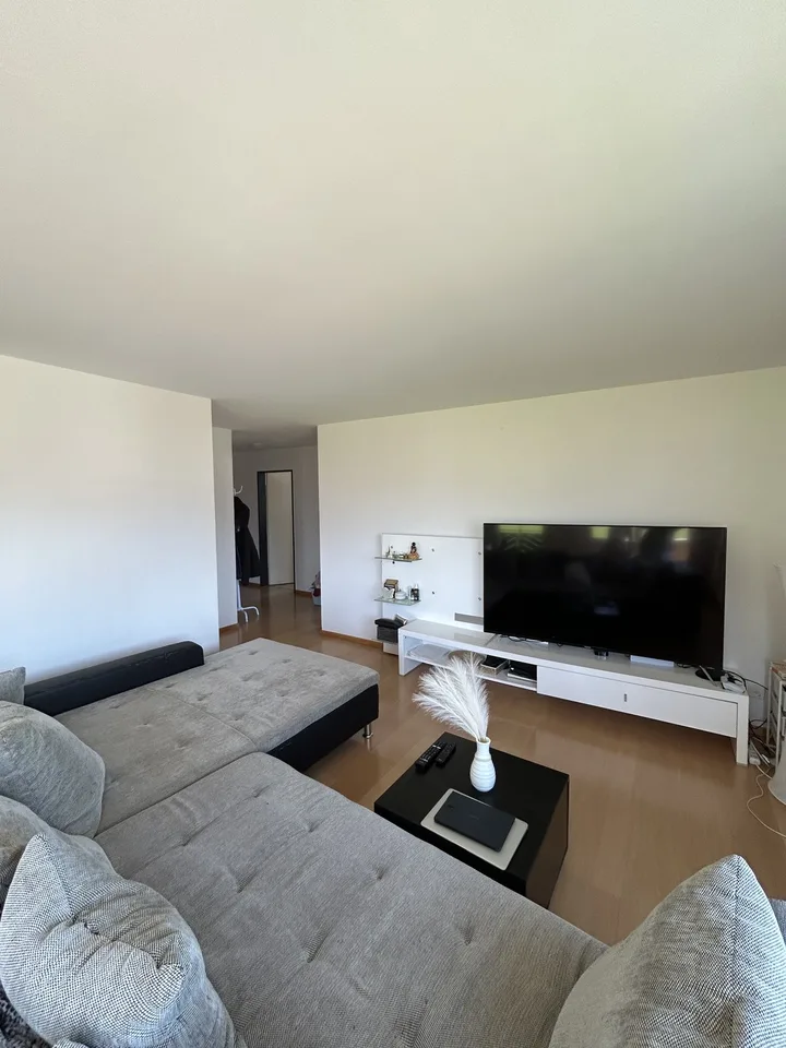 3.5 Zimmerwohnung in Reichenburg