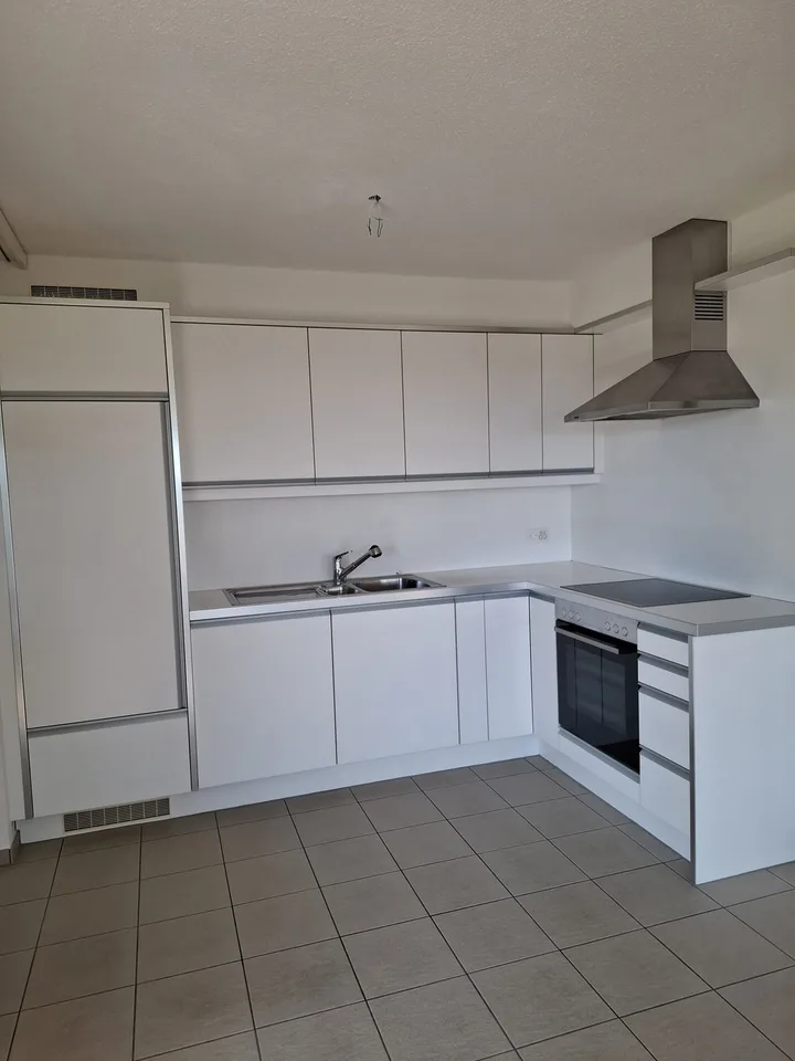 Traumhafte, frisch renovierte 3.5-Zimmer-Terrassen-Wohnung mit Weitsicht in Augwil (Lufingen)
