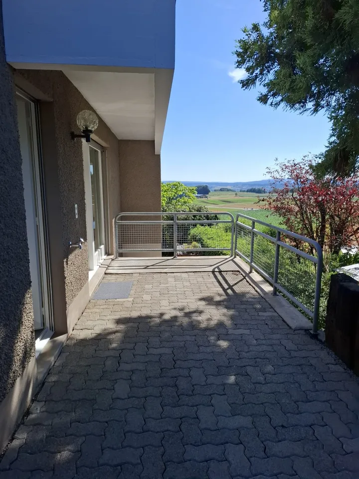 Traumhafte, frisch renovierte 3.5-Zimmer-Terrassen-Wohnung mit Weitsicht in Augwil (Lufingen)