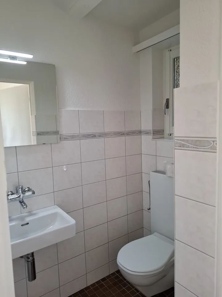 Traumhafte, frisch renovierte 3.5-Zimmer-Terrassen-Wohnung mit Weitsicht in Augwil (Lufingen)