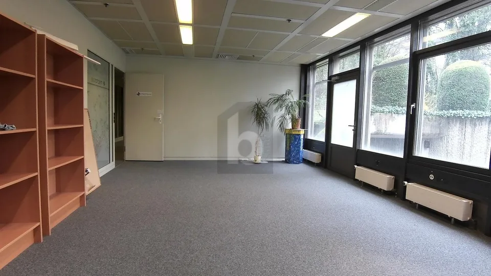 BUREAU LUMINEUX ET SPACIEUX