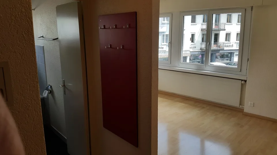 Gemütliche 1.5-Zimmer-Wohnung in Flawil