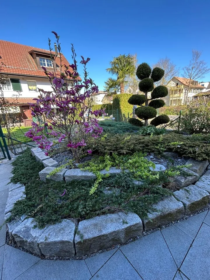 15mins from Zurich HB 2 rooms