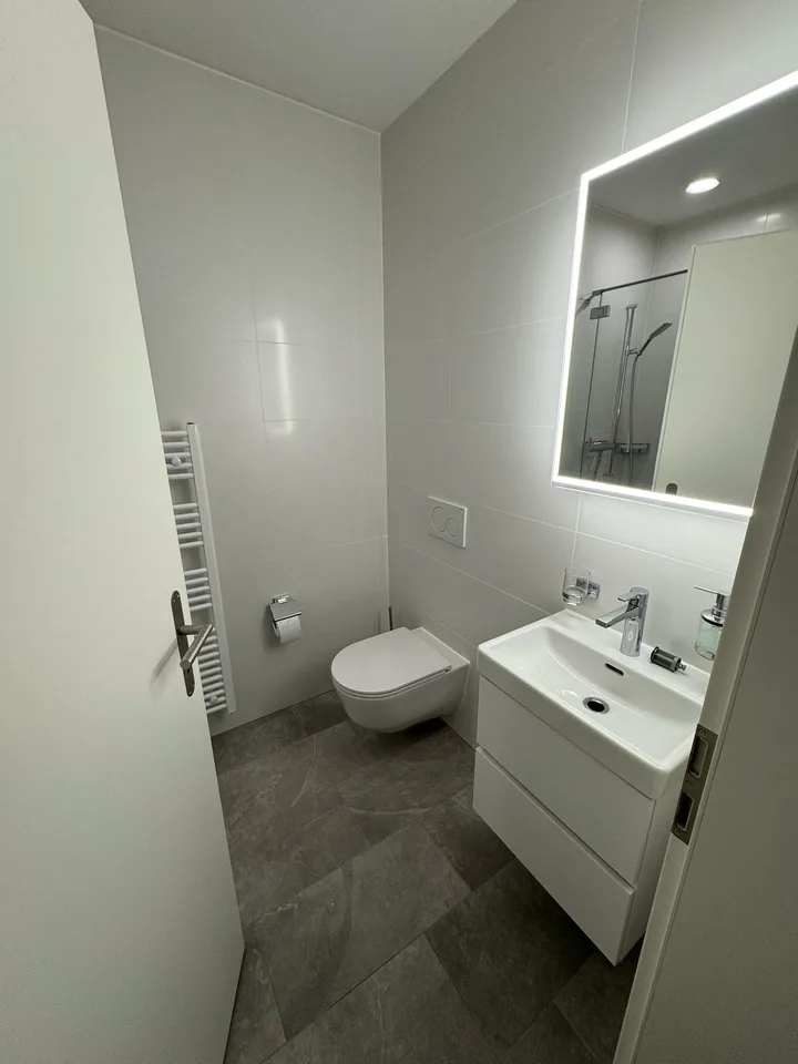 Top moderne und luxuriöse Neubau WG mit grosser Terrasse in Zürich-Enge (8002)