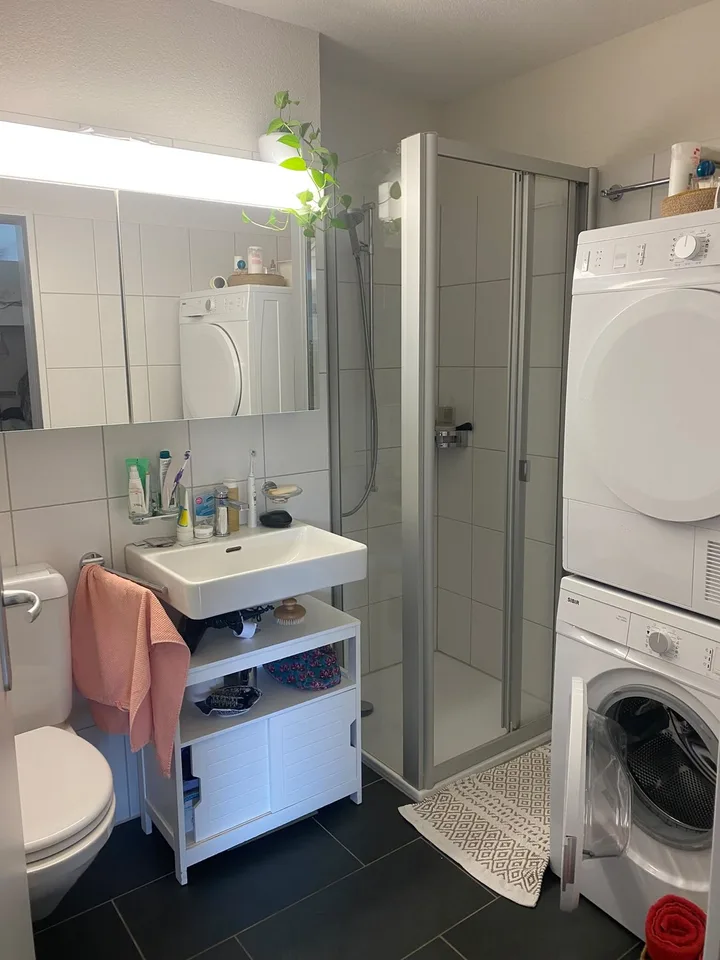 Beautiful apartment in Oerlikon - 9 months sublet