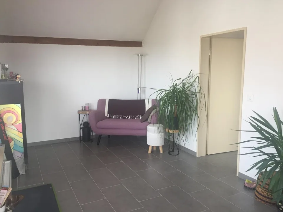 Attraktive 2.5-Zimmer-Attikawohnung mit grosser Terrasse
