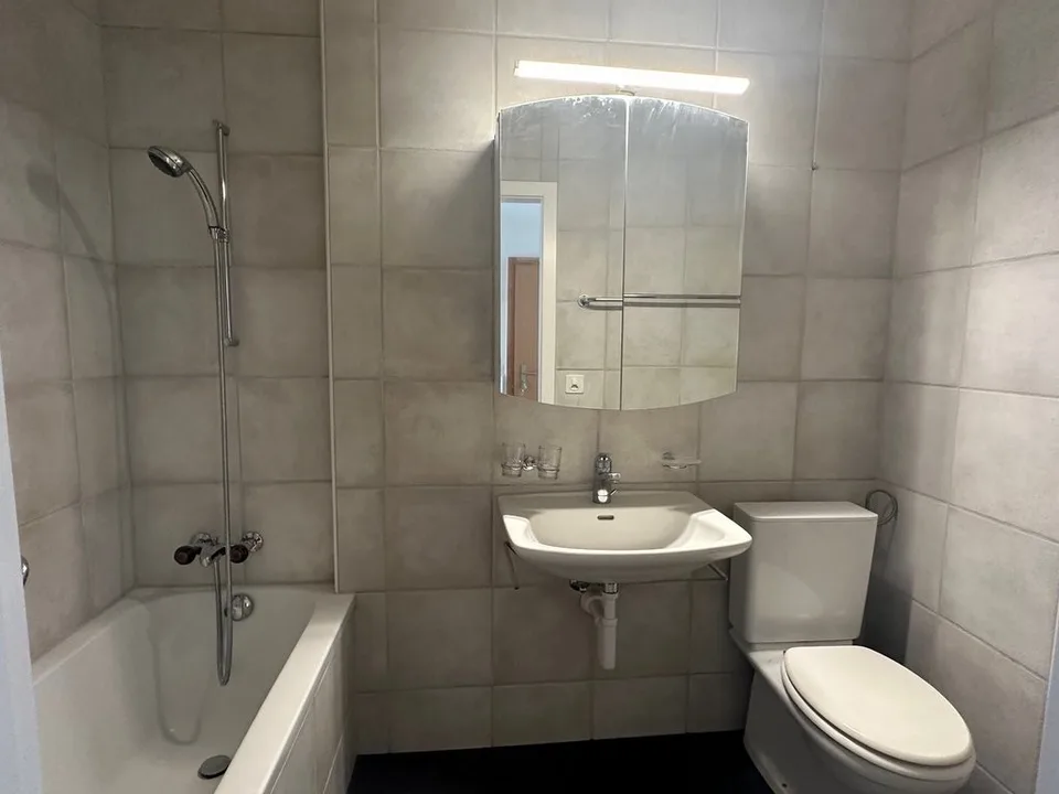 Helle Wohnung nähe Schützenmattpark zu vermieten