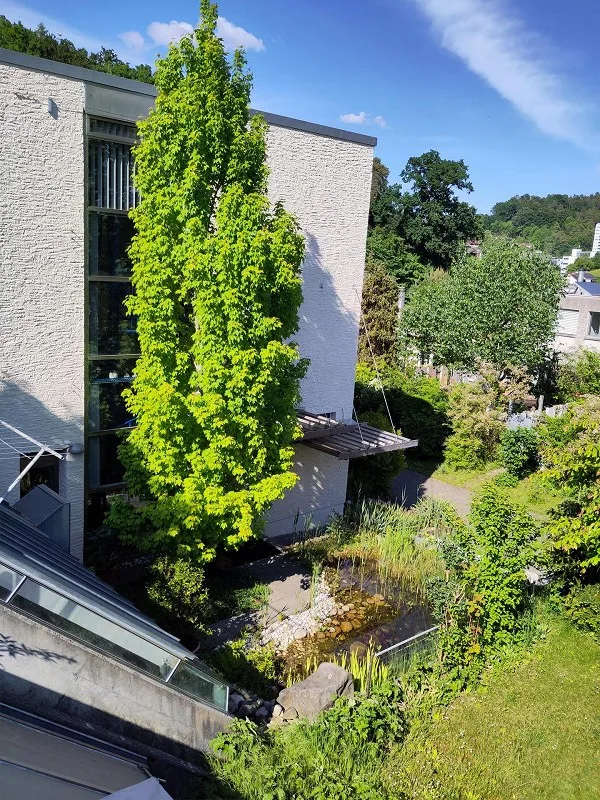 Geräumiges Eckhaus mit Garten in stadtnaher, ruhiger Lage