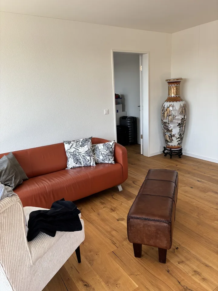 Charmante 3.5-Zi-Attikawohnung im Neubau in Suhr AG