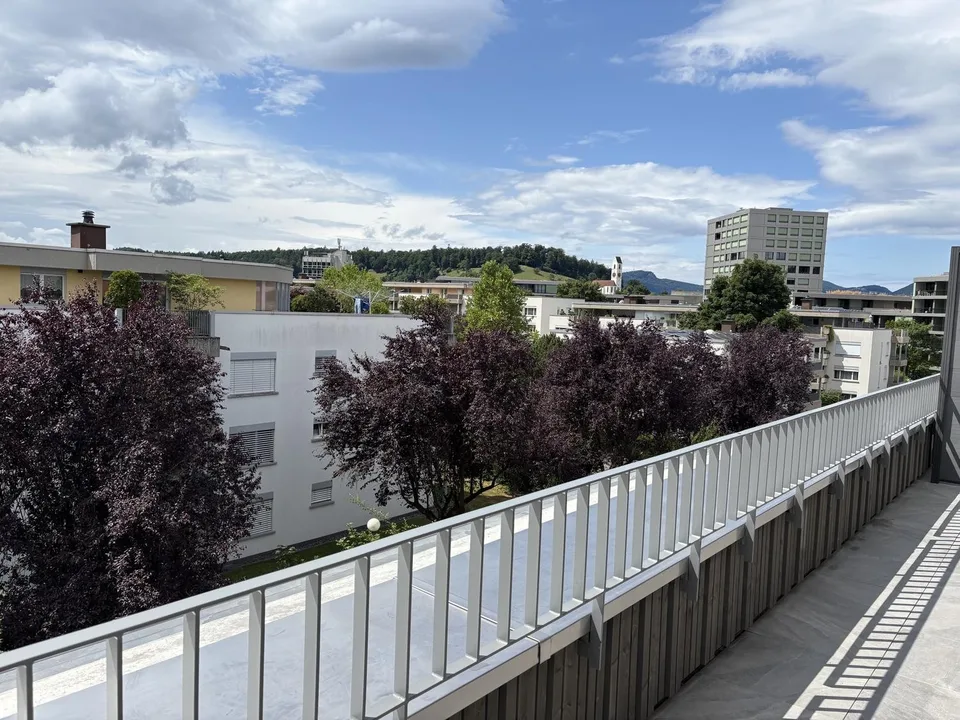 Charmante 3.5-Zi-Attikawohnung im Neubau in Suhr AG