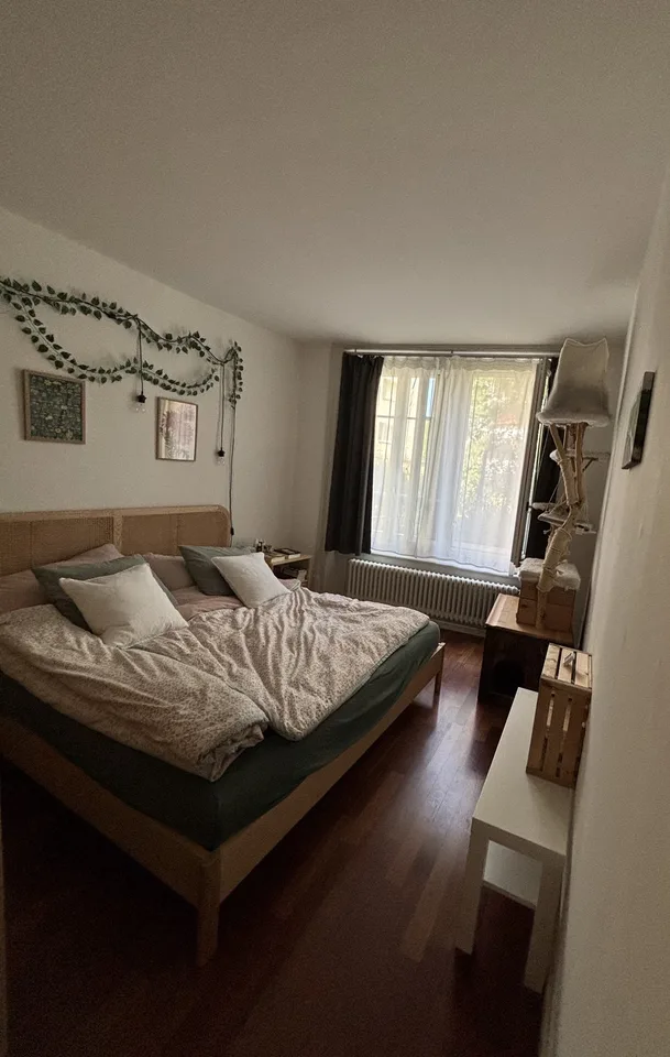2,5 pièces au centre-ville
