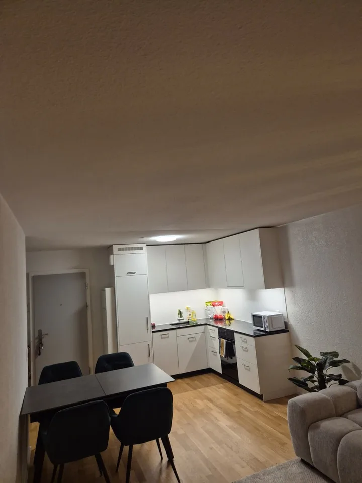 Länggasse: Nachmieter/in gesucht per 1. Sept.