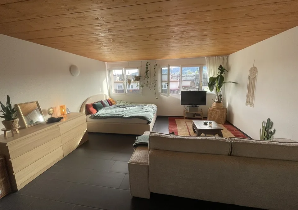 Helle 1-Zimmer-Wohnung mit einzigartiger 25 m² Privat-Dachterrasse im Herzen von Zürich Kreis 4