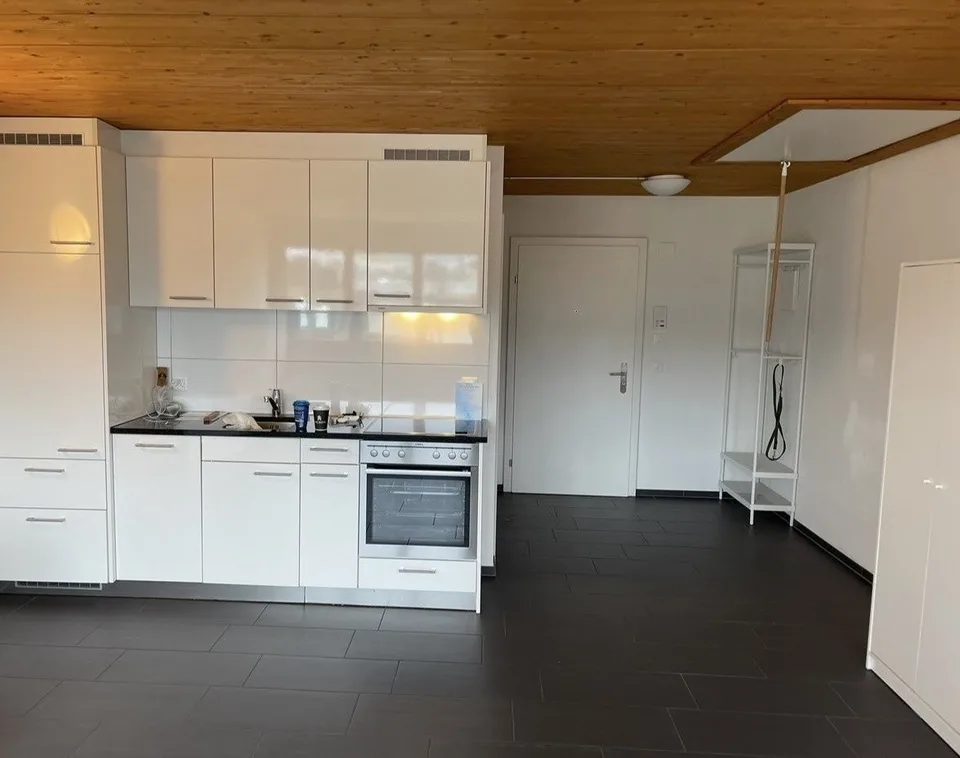 Helle 1-Zimmer-Wohnung mit einzigartiger 25 m² Privat-Dachterrasse im Herzen von Zürich Kreis 4