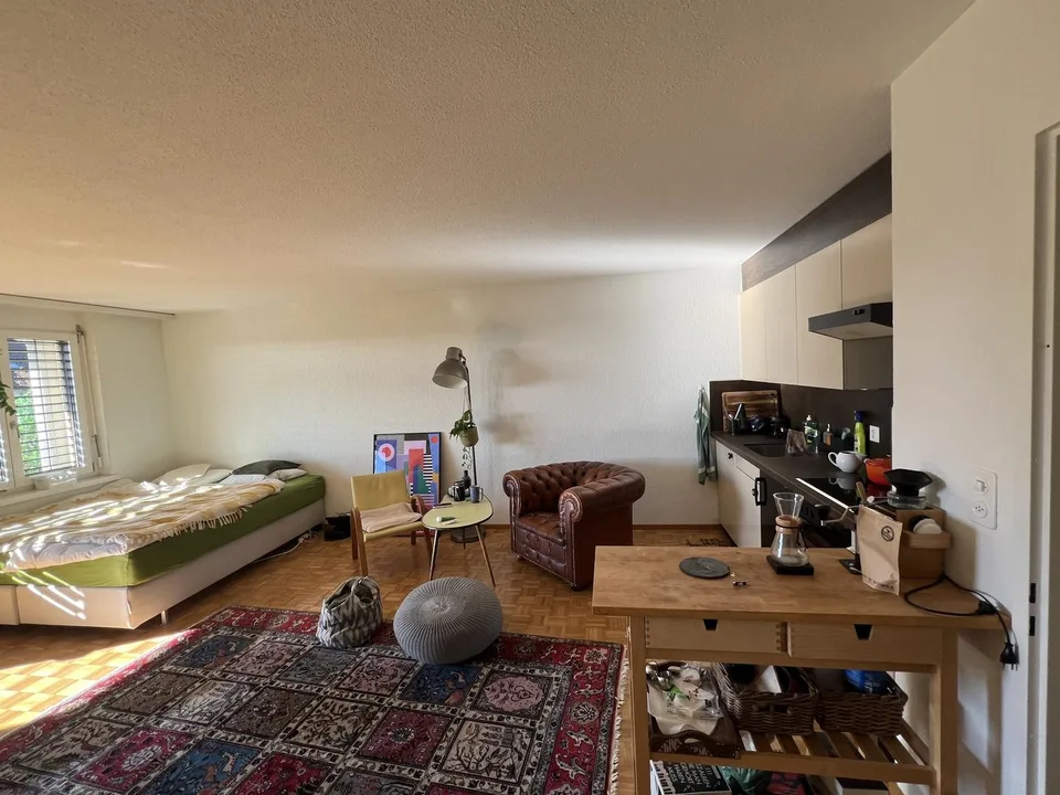 Charmante 1.5 Zimmer Wohnung mit Balkon und Bergsicht