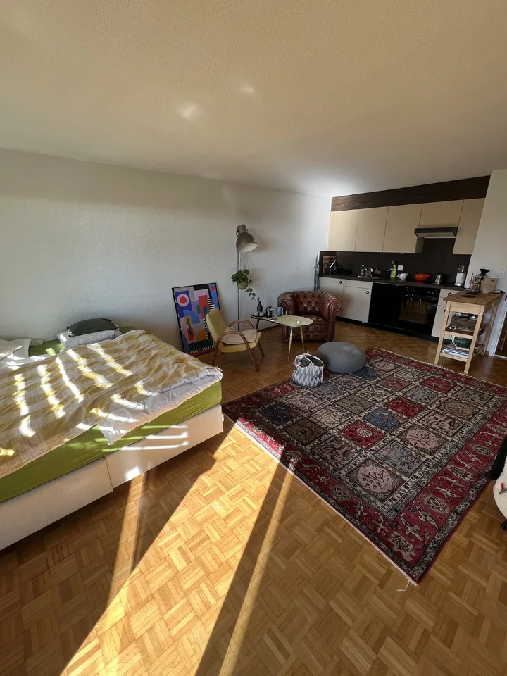 Charmante 1.5 Zimmer Wohnung mit Balkon und Bergsicht