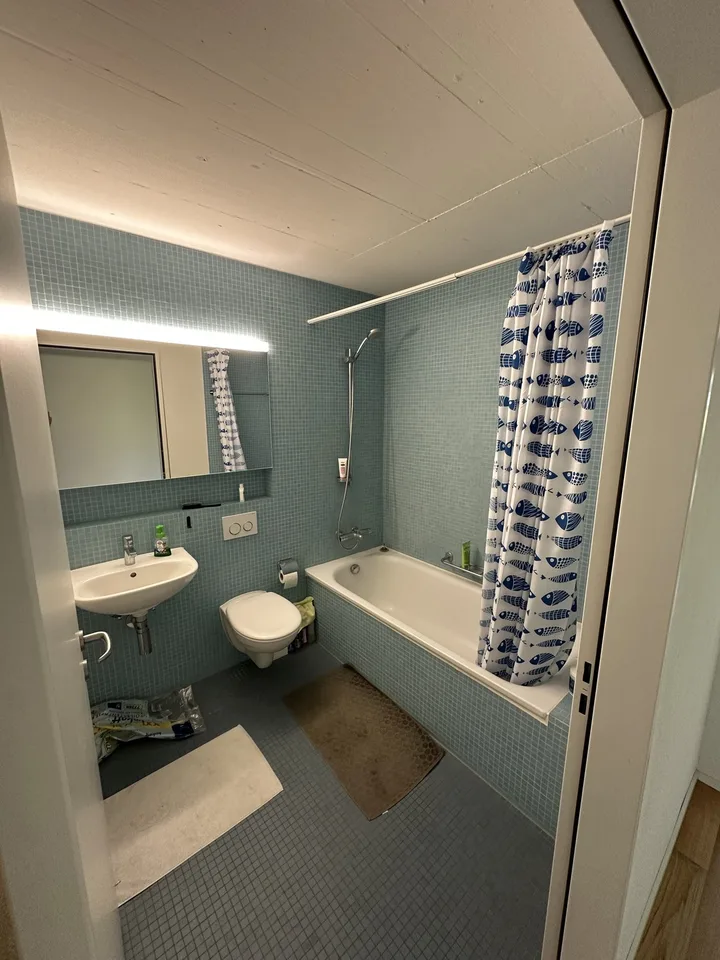 Room in shared 3.5-room maisonette apartment — Schlieren (Zürich area)