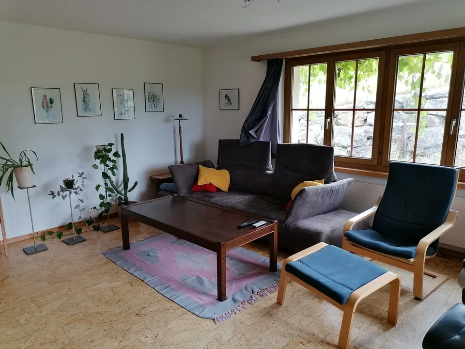 Taa 677, 9608 Ganterschwil - CHF 2’800 inkl. NK pro Monat
